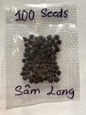 100 Seeds ( Hat Suong Sam Long ) Natural Green Vine Jelly , Cyclea Barbata