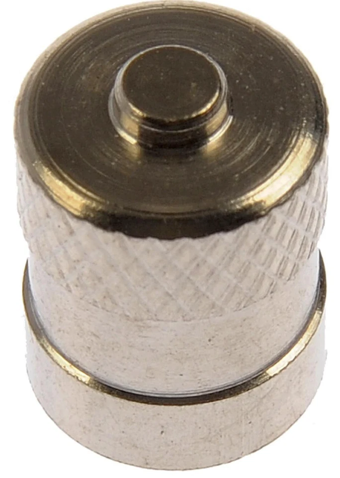 TPMS Valve Stem Cap Dorman 609-131 - Image 1 of 1