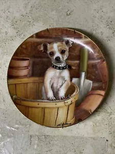 The Danbury Mint Chihuahua Little Gardener By John Silver Limited Edition Teller - Bild 1 von 8