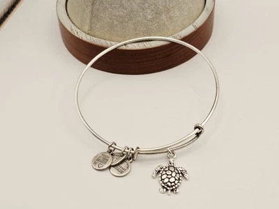 Alex & Ani "Prata Grande Mar 🌊 Tartaruga 🐢 Berloque Oceano ❤️ Pulseira ✨️ - Imagem 1 de 4