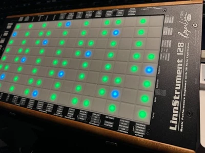 Linnstrument 128 Midi Mpe Controller, Master Keyboard Roger Linn ottime condizioni - Immagine 1 di 4