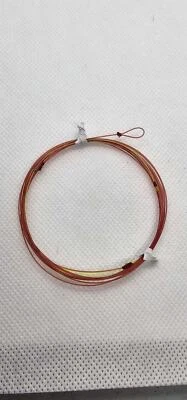 Trucha de confianza - Líder indicador perfecto Foto 1 de 4