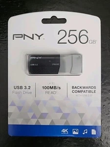 PNY 256GB USB 3.2 Flash Drive (P-FD256ELEDGE-GE) - Picture 1 of 2