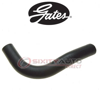 Gates Upper Radiator Coolant Hose for 1963-1964 Studebaker 8E5 2.8L L6 - vk - Imagem 1 de 4
