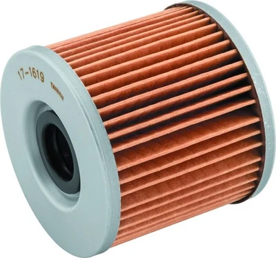 Filtro de óleo BikeMaster Suzuki BM-133 - Preto 171619 - Imagem 1 de 2