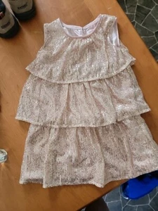 Cat & Jack Kids Girls Dress Size S(4 & 5) Rose Gold Sequin Sleeveless Halloween - Bild 1 von 7