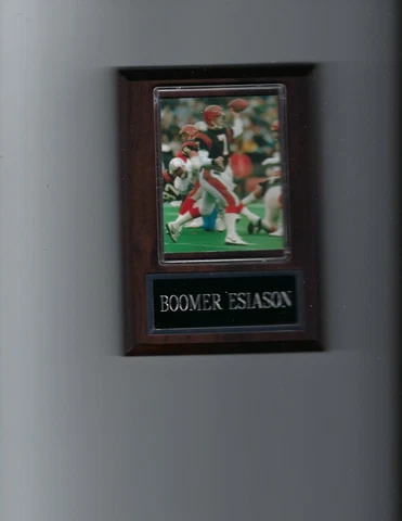 BOOMER ESIASON PLAQUE CINCINNATI BENGALS FOOTBALL NFL Cover