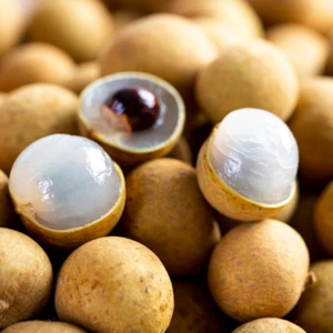BeauFlora Hybrid Longan (Edaw, Injerto) Exótica 1 Planta de Raíz Desnuda - Imagen 1 de 5