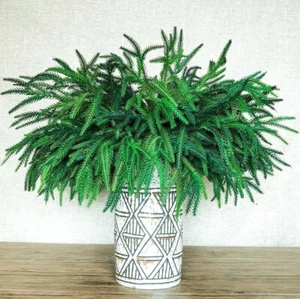 8 Piece Christmas Norfolk Pine Branches DIY Crafts Indoor/Outdoor Home Decor - Picture 1 of 3