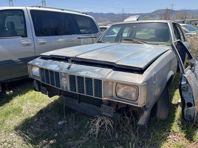 1980 年 OLDSMOBILE CUTLASS 头板 4 门 — 第 1/4 张图片