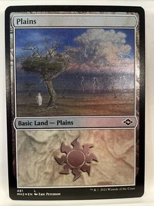 Einfache geätzte Folie Basic Land (481) moderne Horizonte 2 NM Magic the Gathering MH2 - Bild 1 von 5