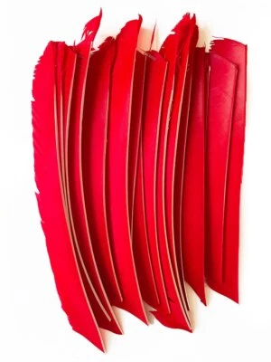 50Pcs Full Length (7-10 inch) Archery Fletches Natural Tureky Feathers Fletching - Image 1 of 4