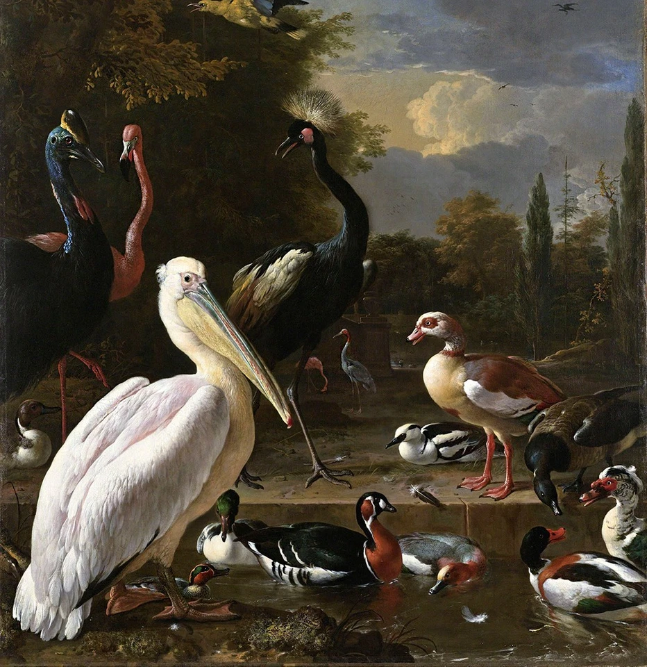 MELCHIOR D' HONDECOETER  THE FLOATING FEATHER GICLEE PRINT FINE CANVAS - Image 1 of 1