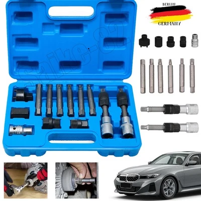 Lichtmaschinen Werkzeug Satz 13-tlg Freilauf Arretier Werkzeug Spezial Bitsatz - Bild 1 von 4