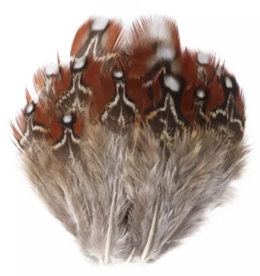 Plumas de plumaje de faisán real natural Temmincks Tragopan raras 20 piezas artesanía hágalo usted mismo Foto 1 de 4