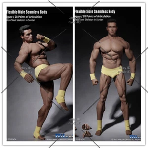 1/6 TBLeague PL2016-M34 Super Strong Flexible Male Muscular Seamless Body Model - Picture 1 of 12