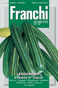 Franchi Seeds of Italy - Courgette - Striato D'Italia - Seeds - Picture 1 of 2