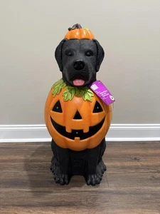 *NUOVO* 2,5 piedi nero laboratorio Halloween cane soffiaggio stampo fantasma LED 2025 deposito casa - Foto 1 di 4
