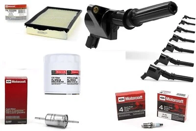 2010 福特 Crown Victoria 4.6 升调谐套件带线圈塞油气过滤器 — 第 1/4 张图片