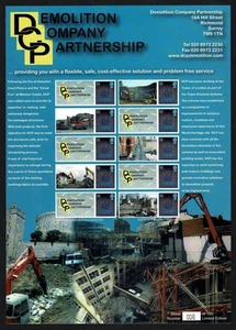 SMILERS SHEET 2009 DEMOLITION COMPANY PARTNERSHIP - Picture 1 of 1