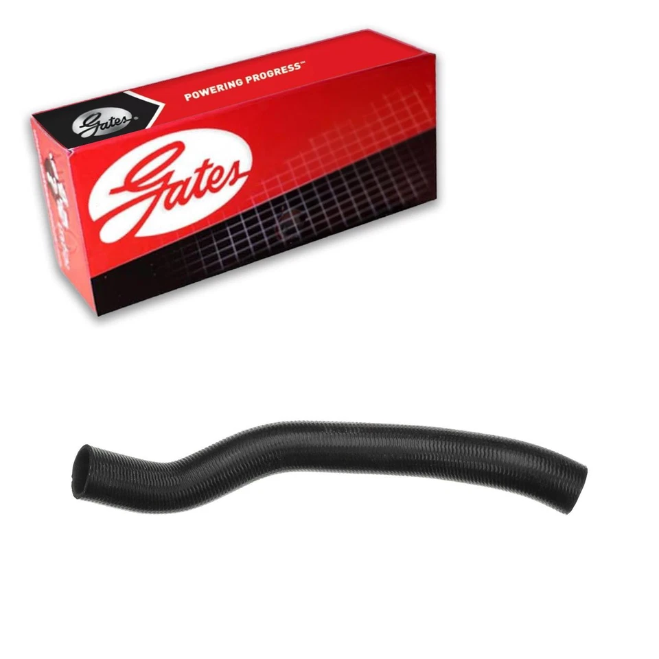 Manguera de refrigerante de radiador Gates para Lincoln Continental 1995-2002 4,6 L V8 GAS Foto 1 de 3