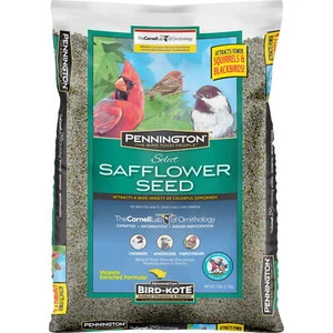 Select Safflower Seed, Wild Bird Feed and Seed, 7 lb. Bag, 1 Pack, Dry New - Picture 1 of 8