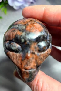2" Red Amphibole Quartz Crystal Alien Head Skull - STAR BEING UFO -AREA 51 - Picture 1 of 12