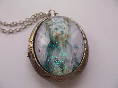 MEDALLÓN ANTIGUO PARA PERRO YORKIE COLOR PLATA Foto 1 de 4