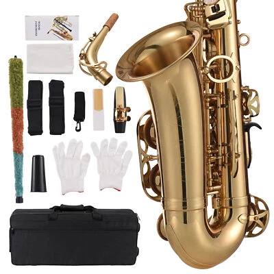 Eb Alto Saxophone Brass Lacquered Gold E Flat Sax 875 Key Type Woodwind Inst SG5