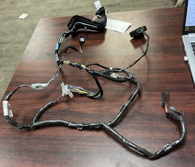 Lincoln MKZ 2010 2011 2012 Ford Fusion conductor trasero puerta cableado arnés Foto 1 de 4