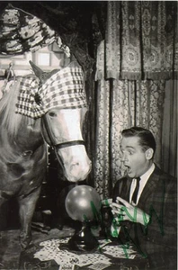 Alan Young - signiertes s/w Foto - Bild 1 von 1