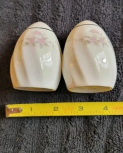 Genuine Porcelin Pink Rose China Salt & Pepper Shaker - Picture 1 of 4
