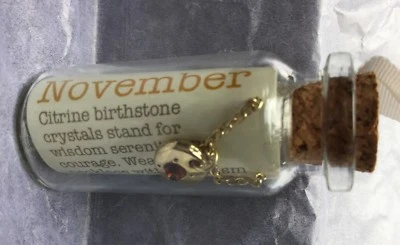 Lucky Feather Birthstone Bottle Gold Necklace Pendant Jewelry U Choose Month - Image 1 of 4