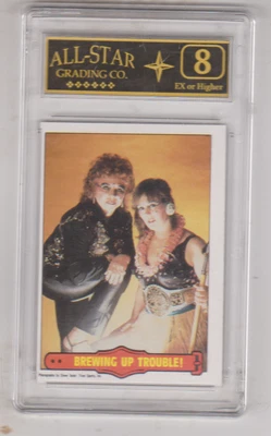 1985 - O-Pee-Chee - WWF Serie 2 - Problemas de preparación - ¡¡GRADUADO!!! Foto 1 de 2