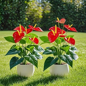 Red Palm Flamingo Flower – Lush Artificial Plant for Home, Garden & Outdoor - Picture 1 of 24