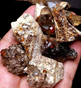 104g 8PC Brand new Rare Black SMOKY QUARTZ Crystal Point&Garnet Spessartine q334 - Picture 1 of 6