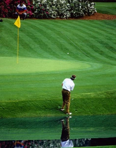 Fred Couples Print 11 x 14 - Picture 1 of 3