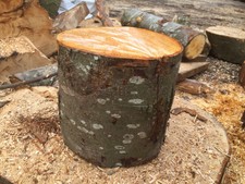 tree stand