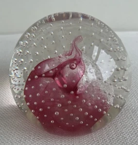 Caithness Glass PINK CHAMPAGNE Paperweight - Scotland - Controlled Bubbles - Picture 1 of 7