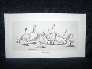 Martha Hayes "All In The Family" Duck Open Edition Lithograph - Picture 1 of 3