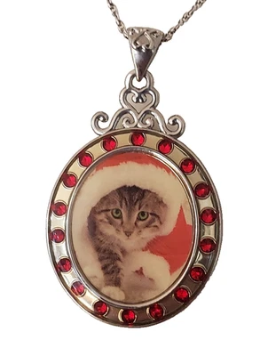 Collar colgante ovalado retrato de gato de plata de ley marco de circón rojo DICIEMBRE Foto 1 de 4