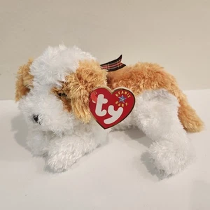 Ty Beanie Baby Darling the Dog DOB August 22, 2000 MWMT - Picture 1 of 5
