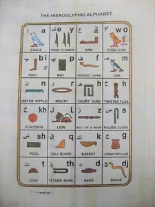 HIEROGLYPHENALPHABET - HANDGEMALT SIGNIERT PAPYRUS AUS ÄGYPTEN - Bild 1 von 9