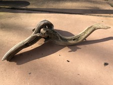 Driftwood Large Natural piece from Virginia for Planter, Aquarium, Reptile