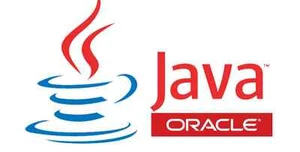 JAVA Video and Books Training Tutorials. Learn JAVA online files sharing - Picture 1 of 1