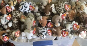 Ty Beanie Baby Cat Lot Of 10  All With Tags And Very Clean Random Selection - Picture 1 of 4