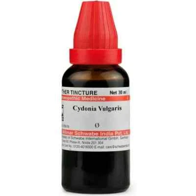 2 X Dr Willmar Schwabe Homeopathy Cydonia Vulgaris Mother Tincture(Q) (30ml) Foto 1 de 3