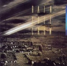 Rain Tree Crow von Rain Tree Crow | CD | Zustand gut - Bild 1 von 2