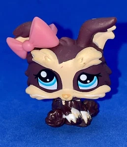 Littlest Pet Shop LPS Yorkie Terrier perro ojos de punto azul #1473 Hasbro - Imagen 1 de 3