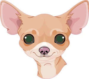 6in x 6in Chihuahua Sticker Car Truck Vehicle Bumper Decal - Picture 1 of 2